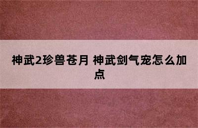 神武2珍兽苍月 神武剑气宠怎么加点